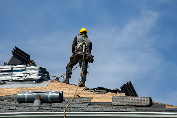 Professional Storm Damage Roof Repair technician working in Crapo, MD